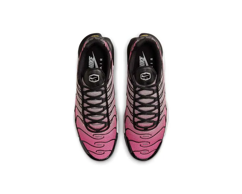 Active Lifestyle Light Walk Nike Air Max Plus "All Day"