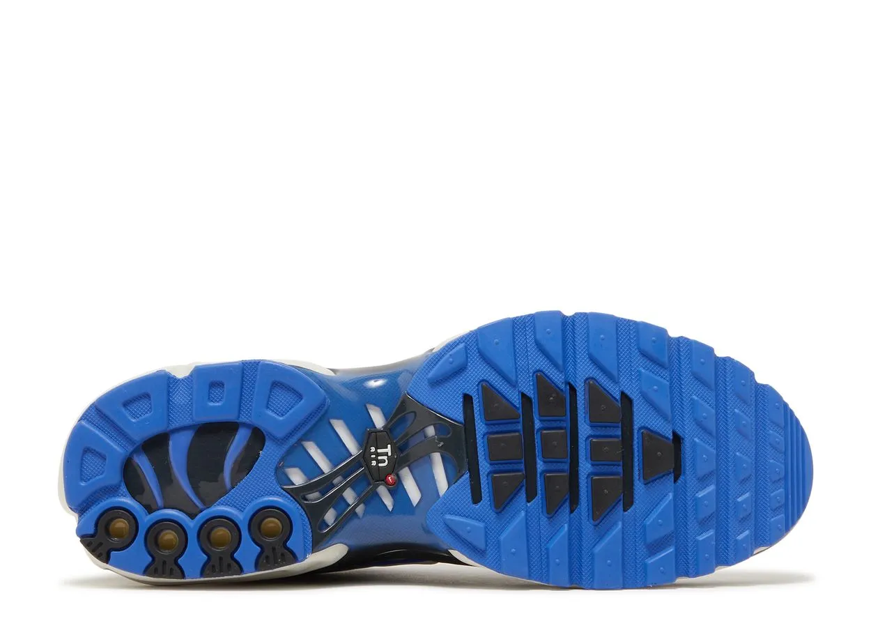 Flexible Use Nike Air Max Plus Social F.C.