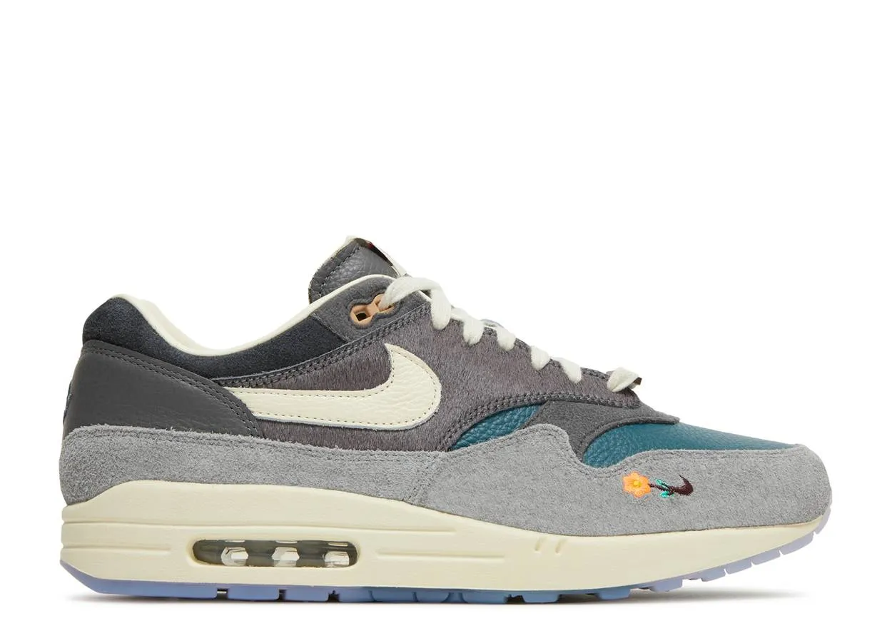 Nike Air Max 1 Kasina Won-Ang Grey Daily Step