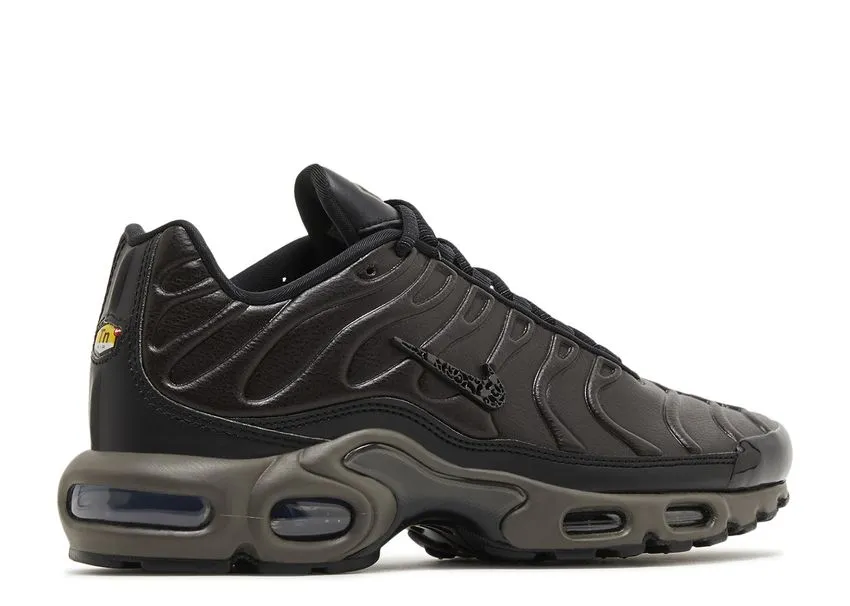 Nike Air Max Plus Premium Paris Mesh Lining