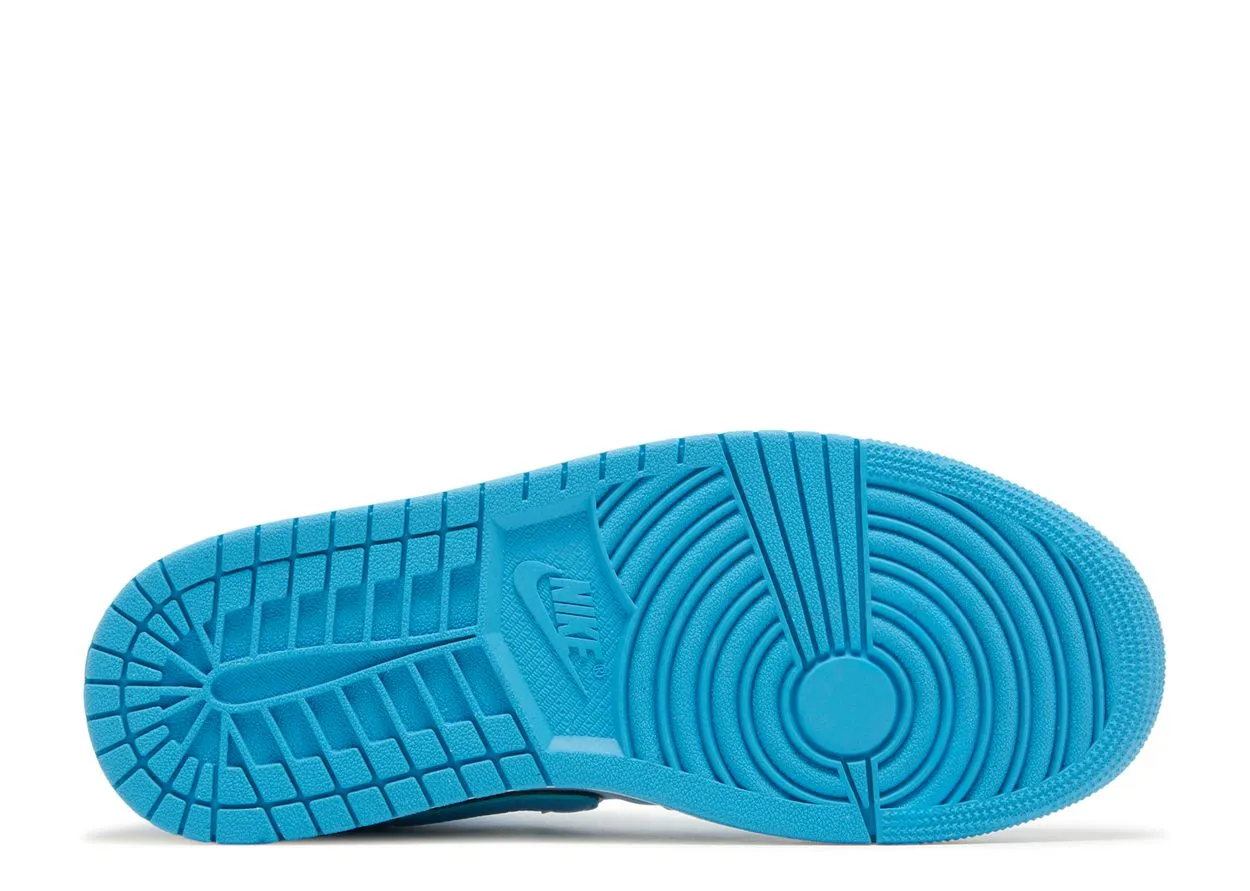 Dog Hike Air Jordan 1 Mid SE Ice Blue
