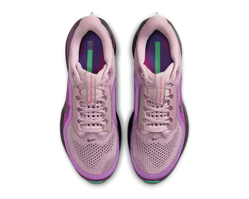 Team Sport goal - setting Nike Pegasus Premium "Faith Kipyegon" W