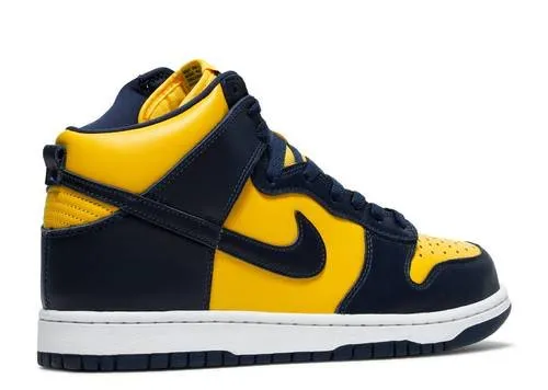 Nike Dunk High Michigan Cold Climate Trendy Shoes