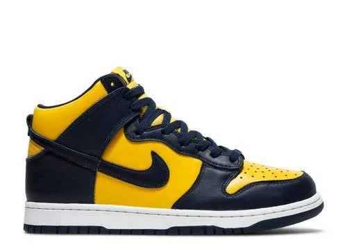 Slide Hike Cruise Walk Nike Dunk High Michigan