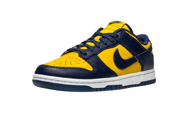 Nike Dunk Low "Michigan" Anti microbial Win Hike