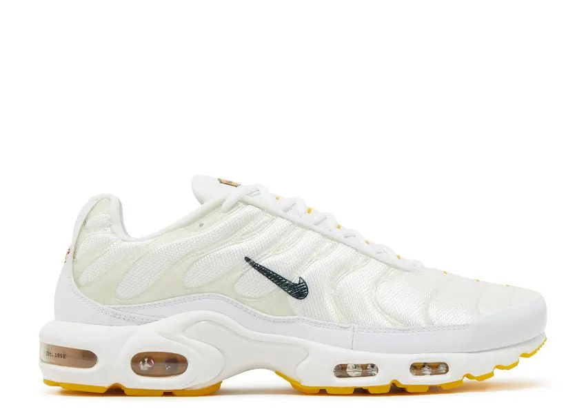 Nike Air Max Plus M. Frank Rudy Follow Hike