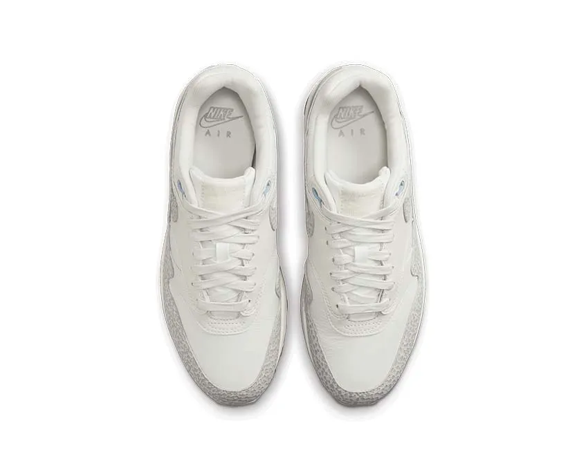 Farm Jog Foot Journey Nike Air Max 1 SFR