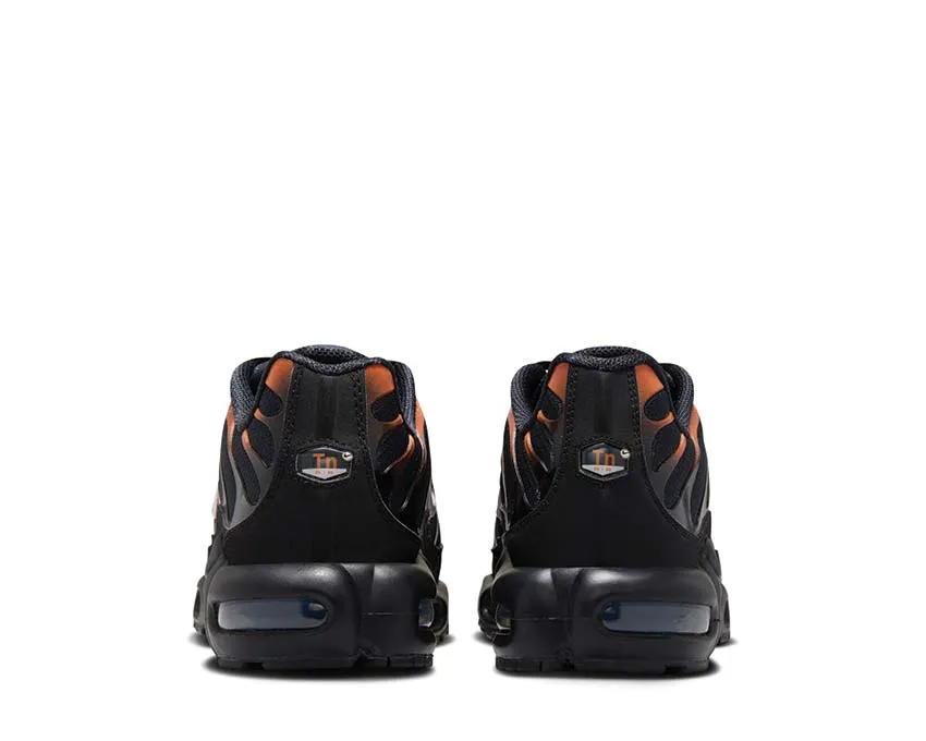 Nike Air Max Plus Clean Wear