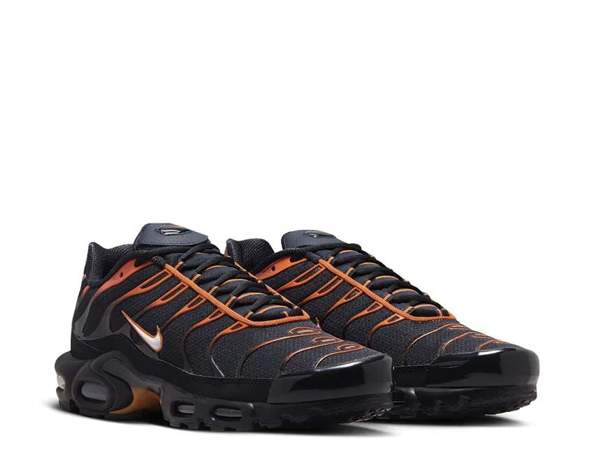 Sidewalk Walk Nike Air Max Plus