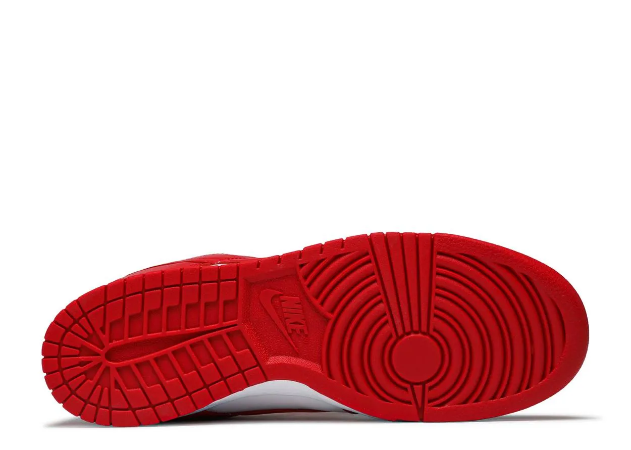 AntiOdor Nike Dunk Low University Red