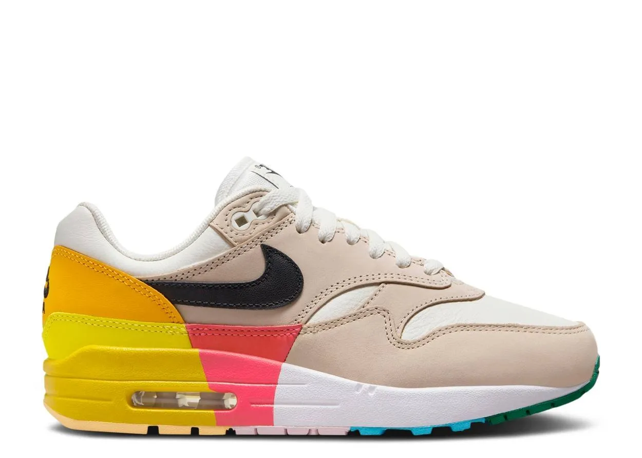 Nike Air Max 1 Multi-Color Pet Hike