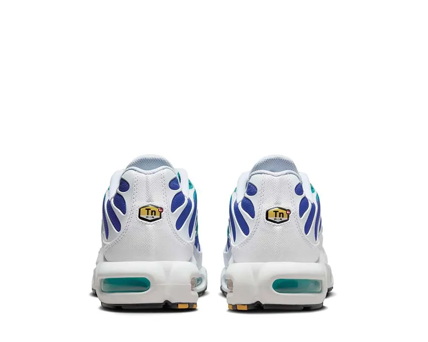 Long Travel Nike Air Max Plus "Aqua"