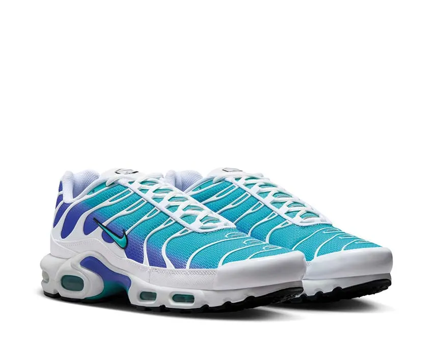 Frost Step Nike Air Max Plus "Aqua"