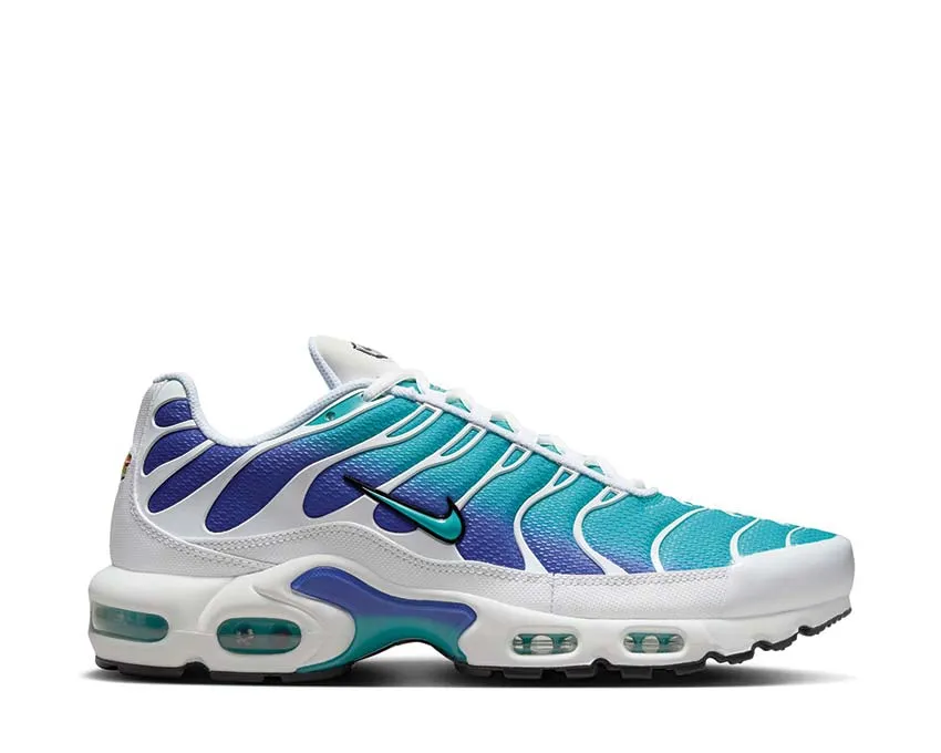 Nike Air Max Plus "Aqua" Pointed Toe Design