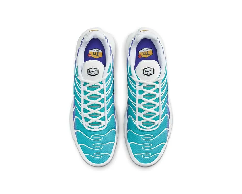 Nike Air Max Plus "Aqua" Air Soft