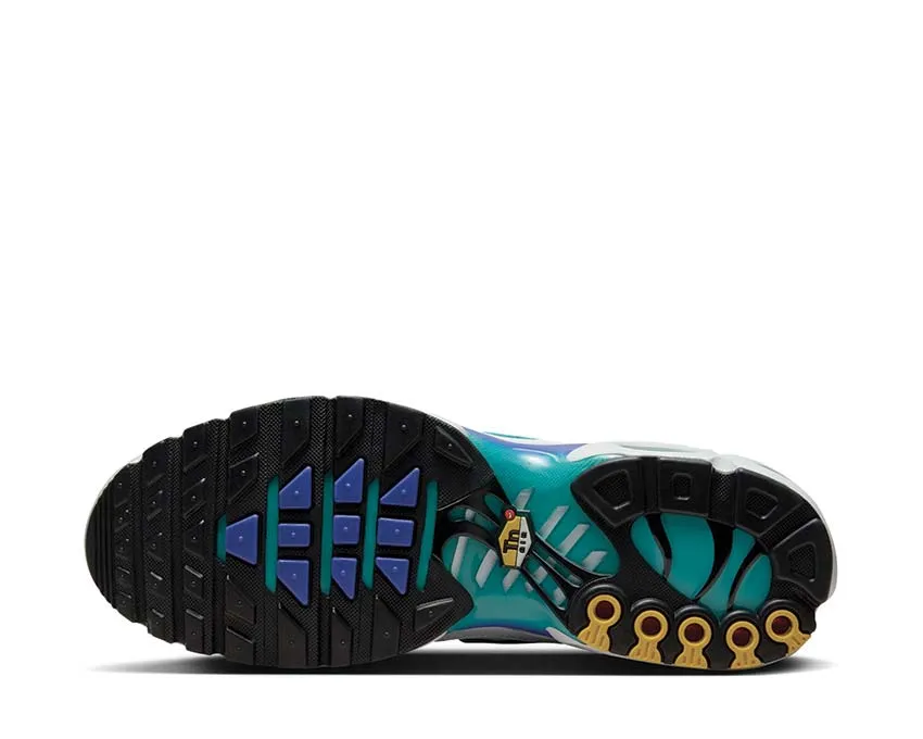 Nike Air Max Plus "Aqua" Comfortable Straps