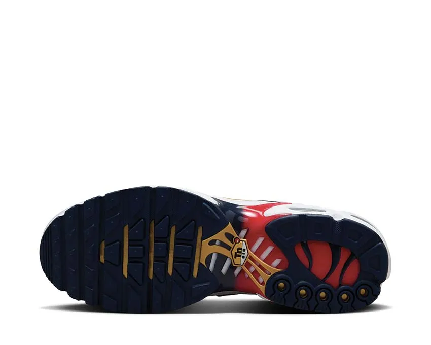 Comfy Outing Nike Air Max Plus "PSG"