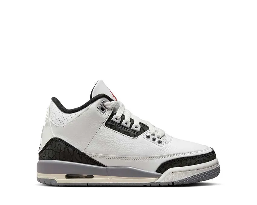 Dinner Look Team Match Air Jordan 3 Retro GS "Cement Grey"
