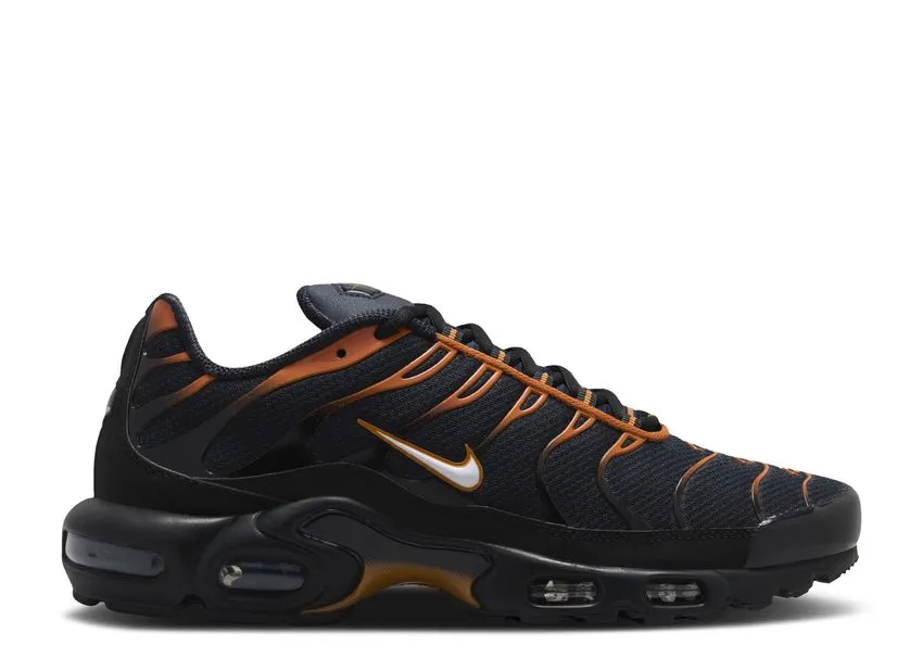Pass Hike Nike Air Max Plus Dark Obsidian Monarch