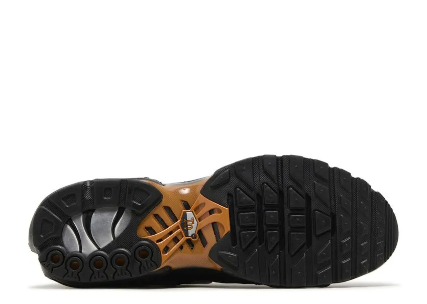 Beach Walk Quiet Move Nike Air Max Plus Dark Obsidian Monarch