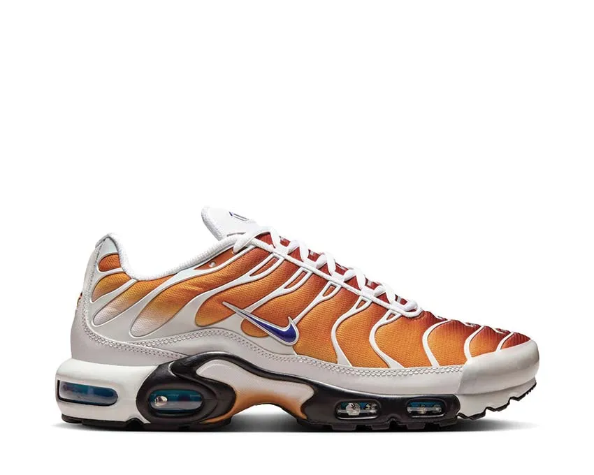 Nike Air Max Plus One Black Down "Reverse" Celebrate Walk