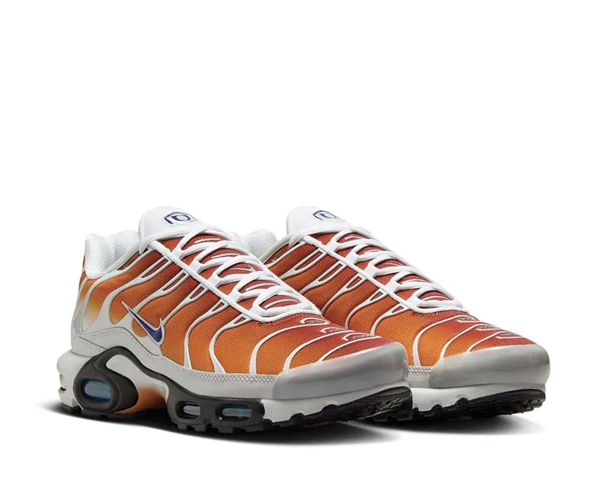 Elastic Fit Nike Air Max Plus One Black Down "Reverse"