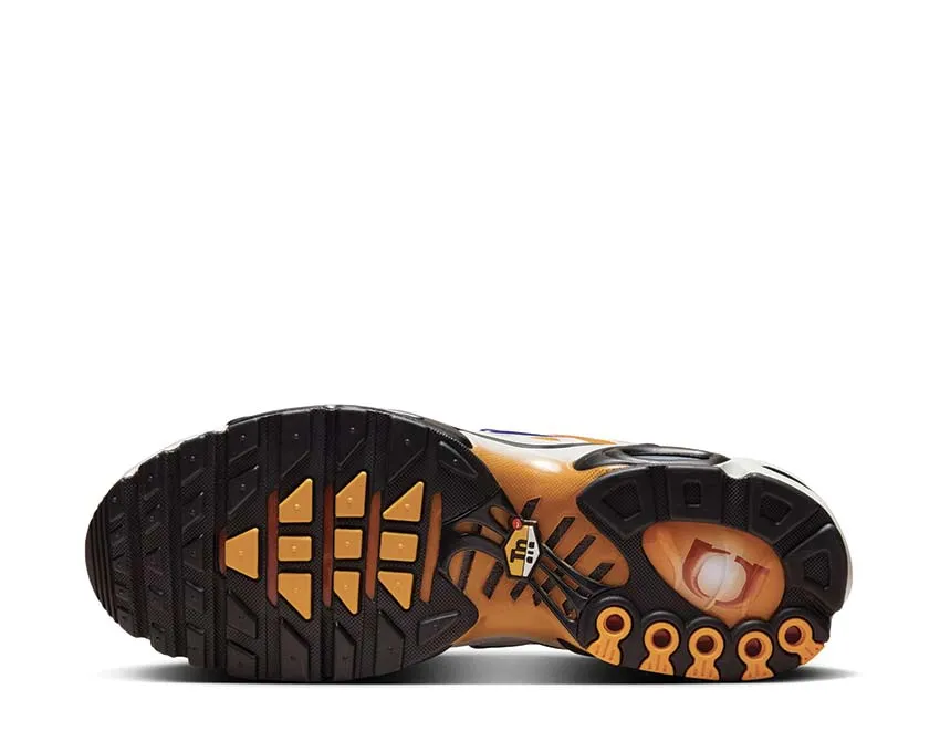 Nike Air Max Plus One Black Down "Reverse" Port Walk