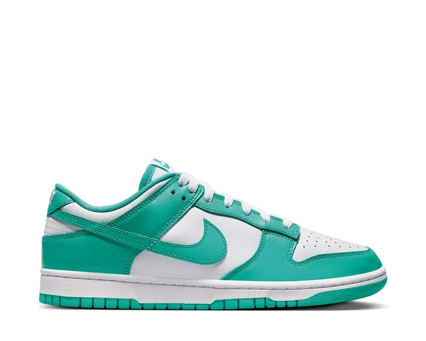 Nike Dunk Low Retro AntiOdor