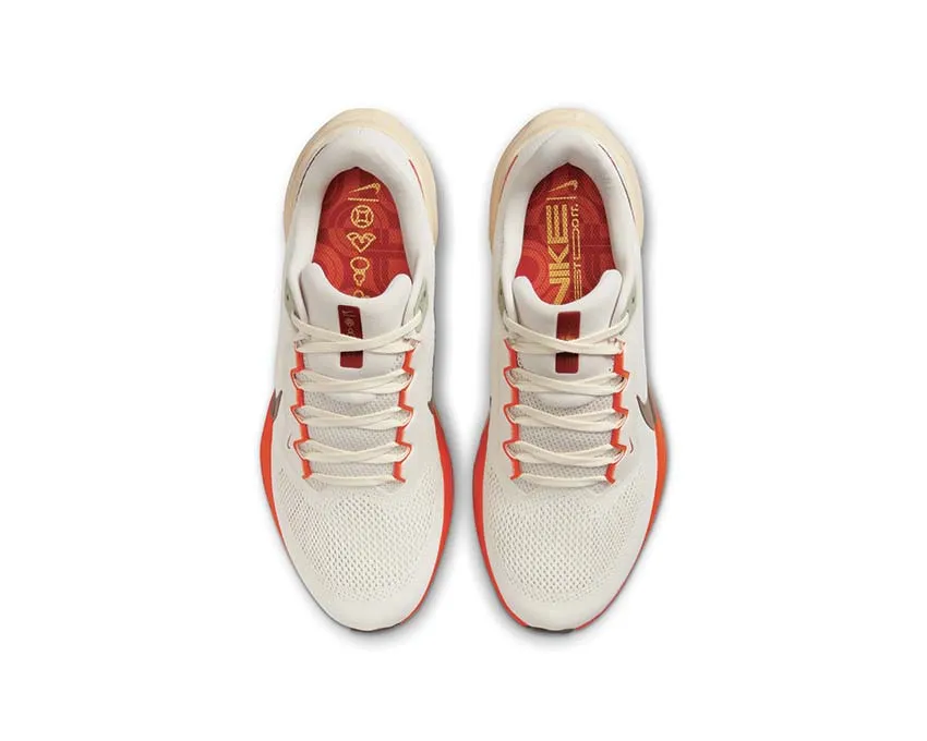Nike Air Zoom Pegasus 41 "Ironestone" 5K running kayaking shoes