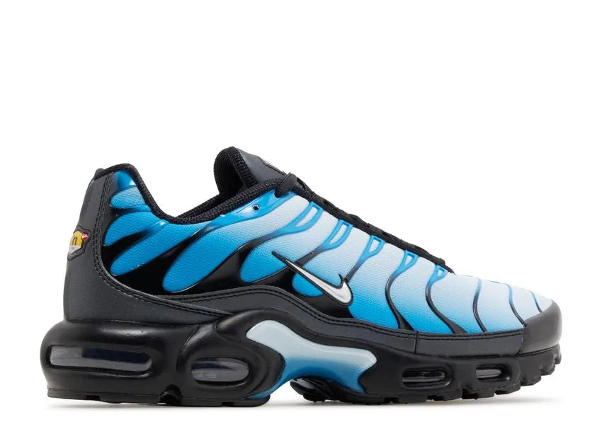 Cold Climate Nike Air Max Plus Blue Gradient
