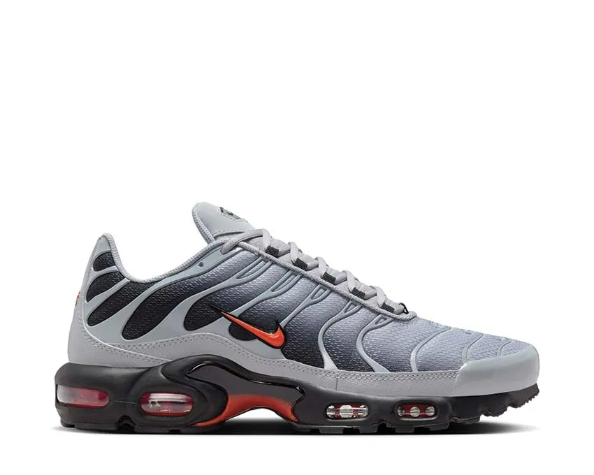 Flexible Footwork Nike Air Max Plus "Wolf Grey"
