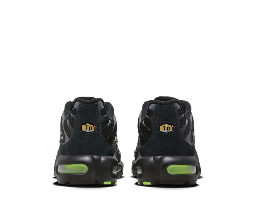 Walk Time Nike Air Max Plus