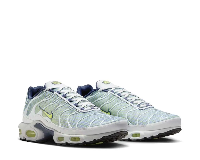 Nike Air Max Plus "Pebble Grey" Vacation Ready