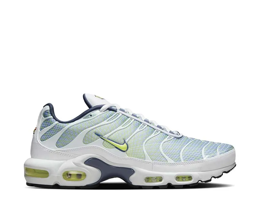 Pose Time Nike Air Max Plus "Pebble Grey"