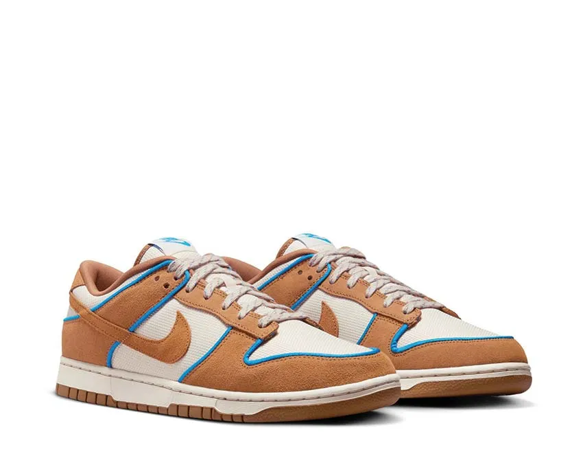 Walk Comfort On The Move Nike Dunk Low Retro Prm