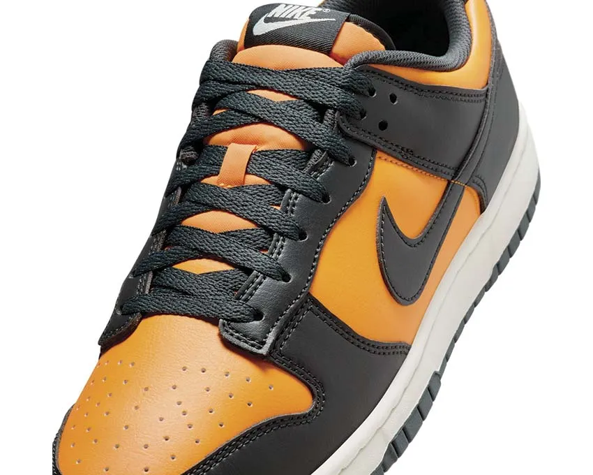 Nike Dunk Low Retro Relaxed Style