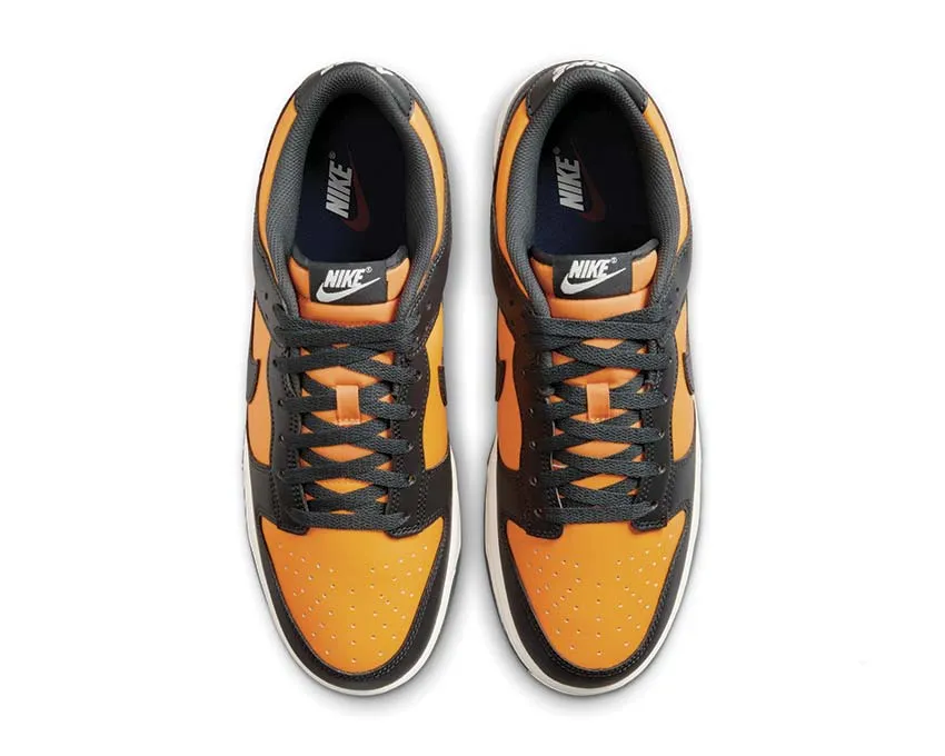 Everyday Footwear Nike Dunk Low Retro