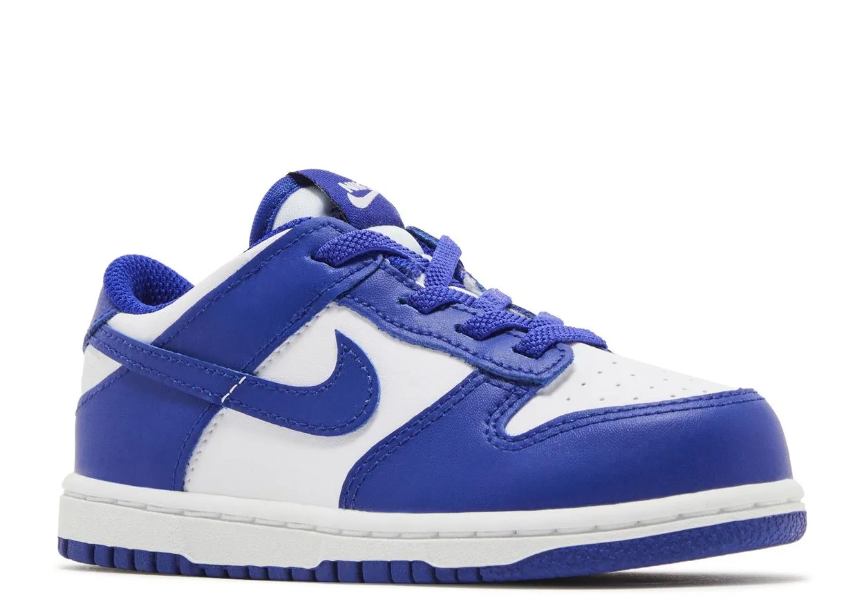 Field Hike ComfortPadding Nike Dunk Low Concord (TD)