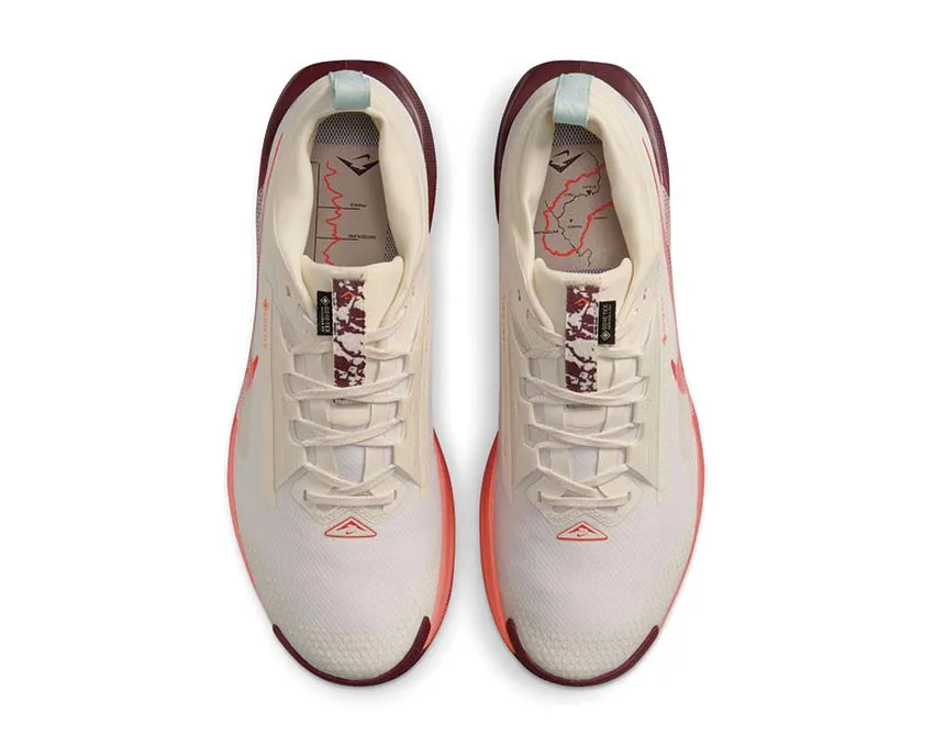 Nike Pegasus Trail 5 GTX "Silt Red" Secure Motion
