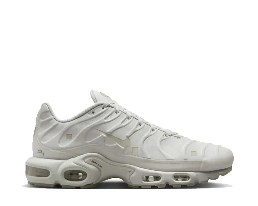 Bridge Walk Nike Air Max Plus A Cold Wall