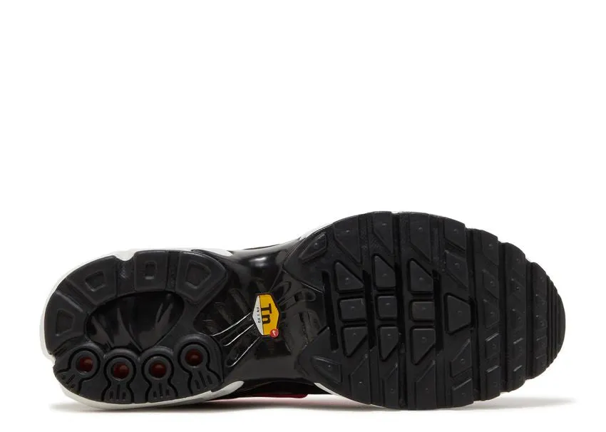Cushioned ride Nike Air Max Plus Dusk