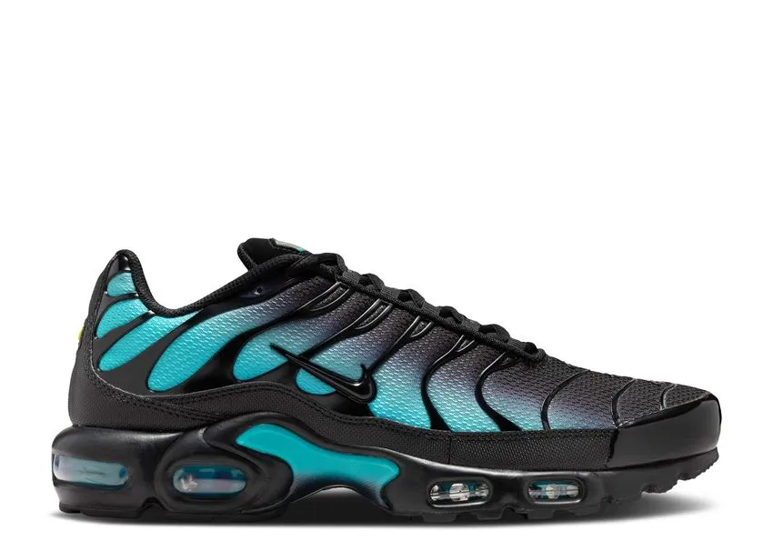 Nike Air Max Plus Black Dusty Cactus Elastic Lacing Foot Softness