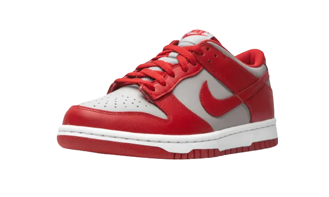 Nike Dunk Low "UNLV" Street Motion