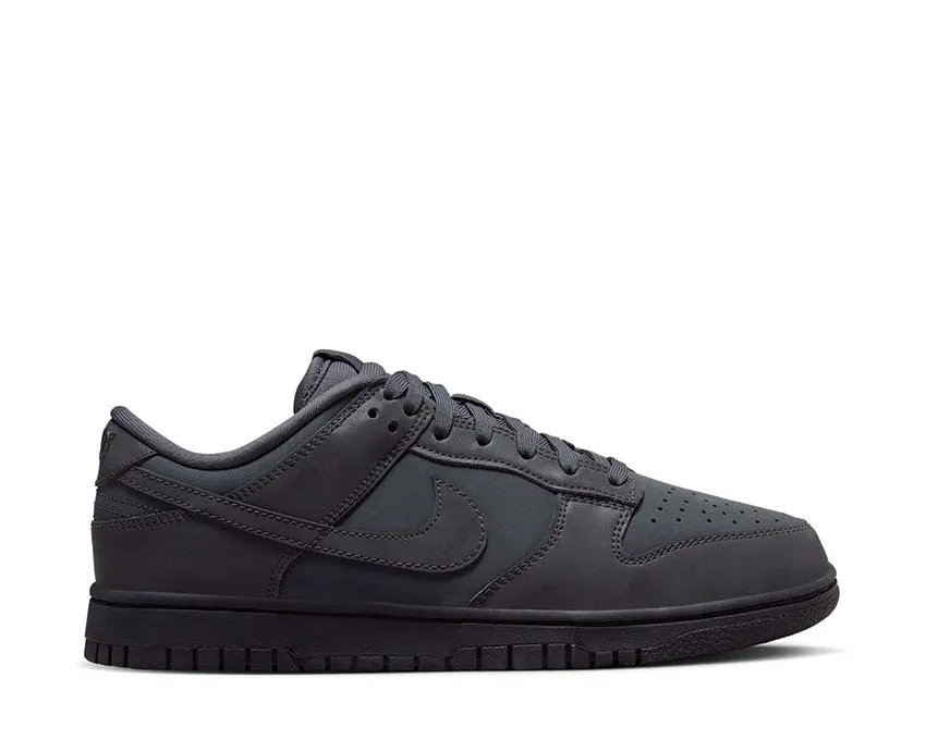 Hop Hike Nike Dunk Low W