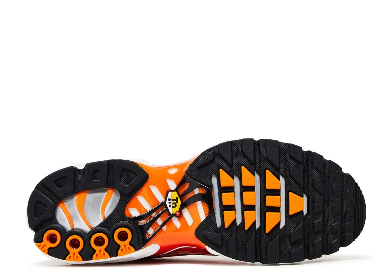 Oxford Style Travel Shoes Nike Air Max Plus Light Photography