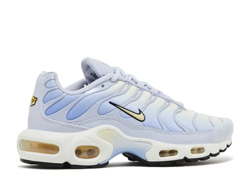 mom style Nike Air Max Plus Daybreak