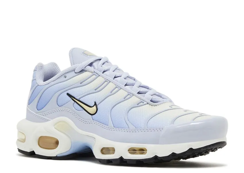 Nike Air Max Plus Daybreak work commute