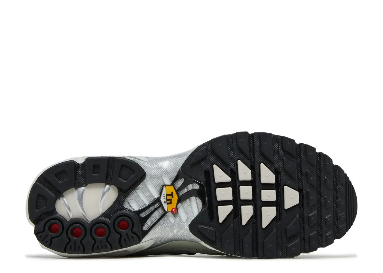 Nike Air Max Plus Light Silver Weight Control Rain Day