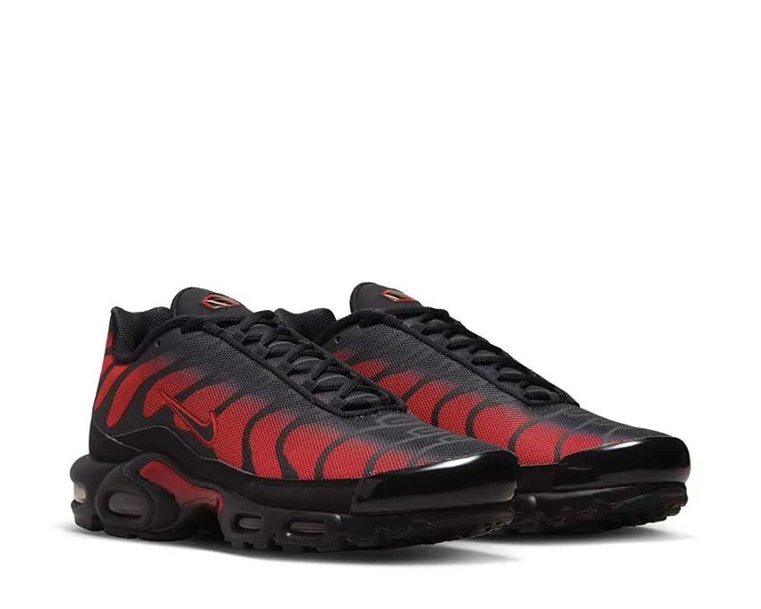 Nike Air Max Plus Indoor outdoor use
