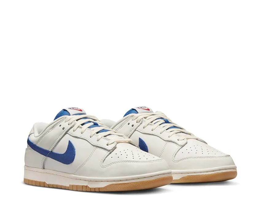 Anti   Static Nike Dunk Low SE